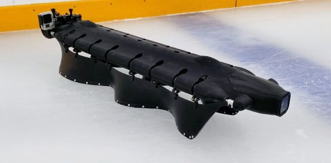 Робот Velox использует волнообразные плавники, чтобы плавать в воде и кататься по льду (+видео) Робот Velox использует волнообразные плавники, чтобы плавать в воде и кататься по льду (+видео)